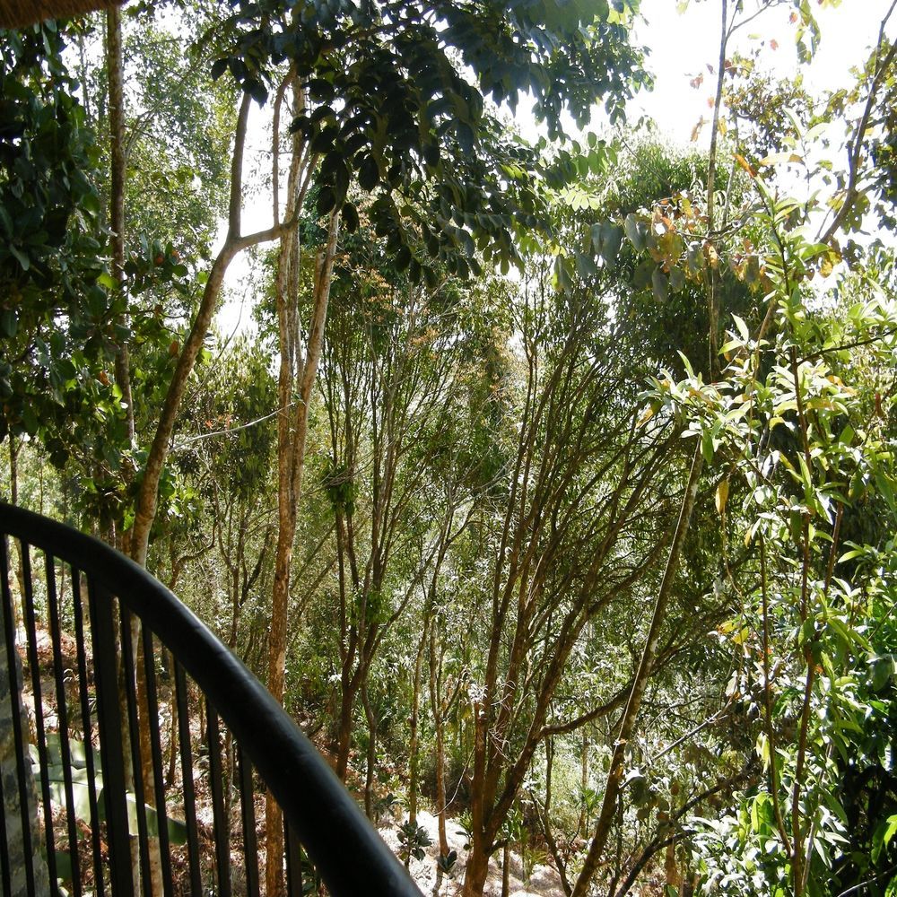 Hotel Poetree Thekkady Exterior foto